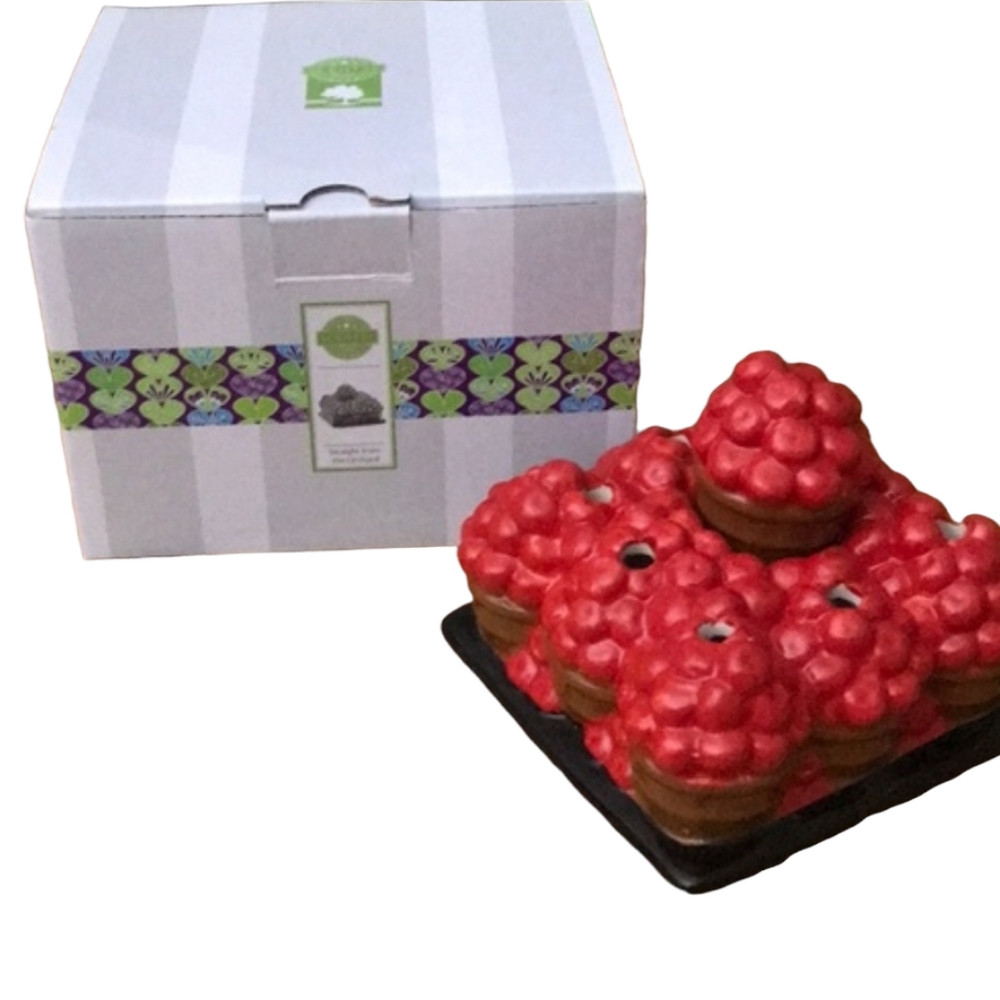 SCENTSY WAX WARMER COVER STRAIGHT FROM THE ORCHARD